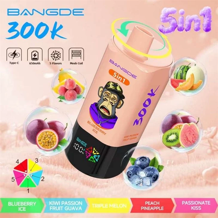 BANG DE 300K 5in1 best