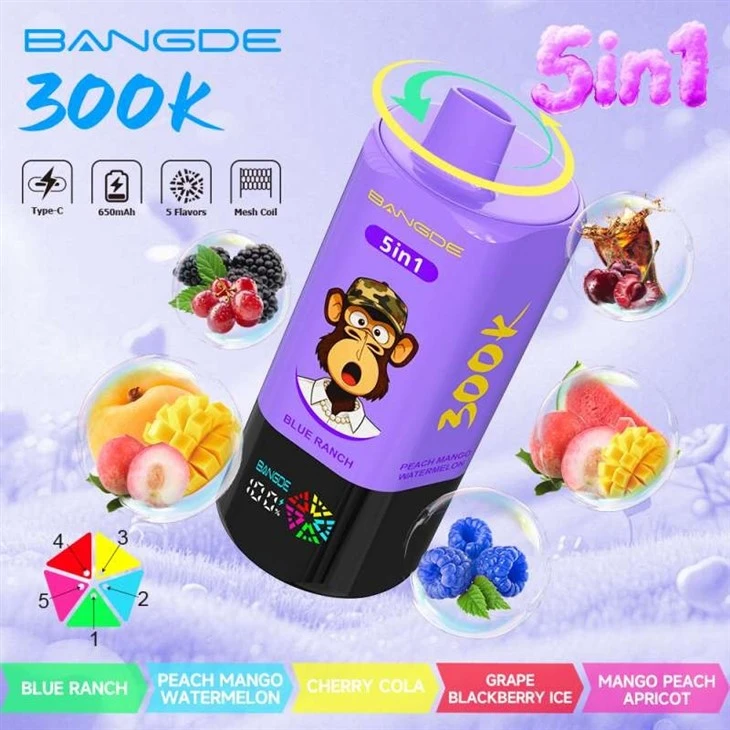 BANG DE 300K 5in1 suppliers