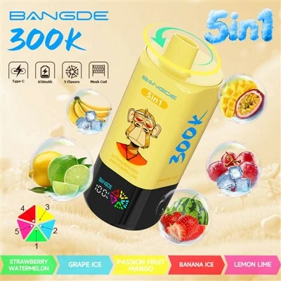 BANG DE 5 inci1 300000