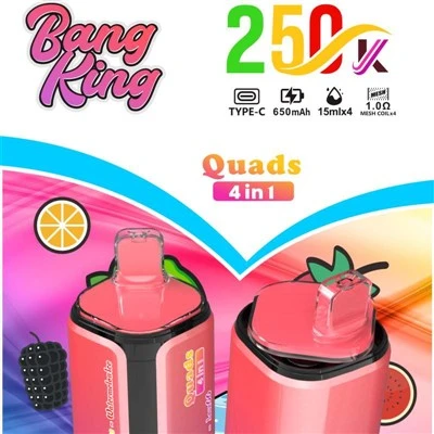 BANG RAJA Paha Depan 250000 4 DALAM 1
