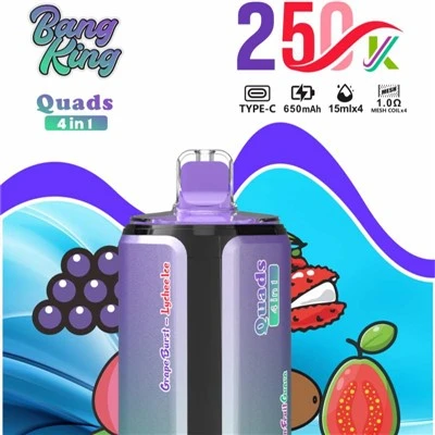 BANG KING Paha Depan 4IN1 250K