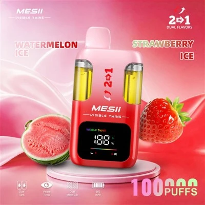 MESII TERLIHAT KEMBAR 100K