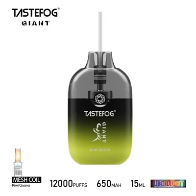 RAKSASA TASTEFOG 12000
