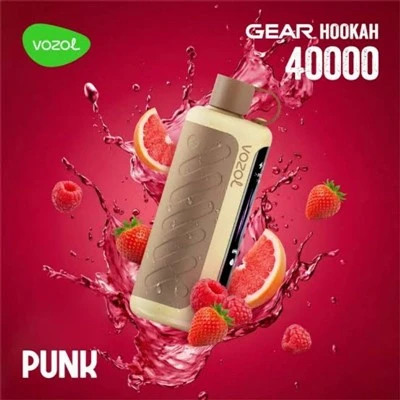 VOZOL Gigi Hookah 40000