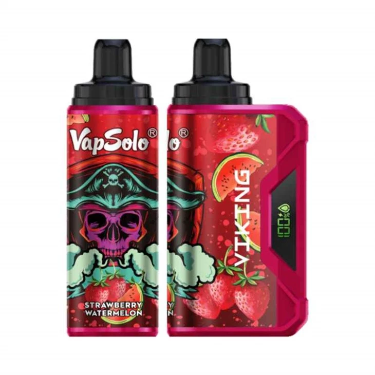 VapSolo VIKING 12000